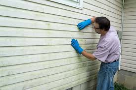 Best Siding Painting and Refinishing  in Birdsboro, PA